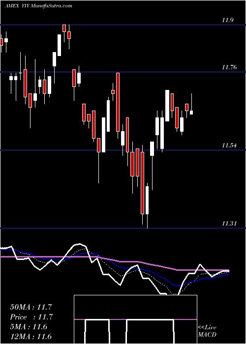  Daily chart YieldsharesHigh
