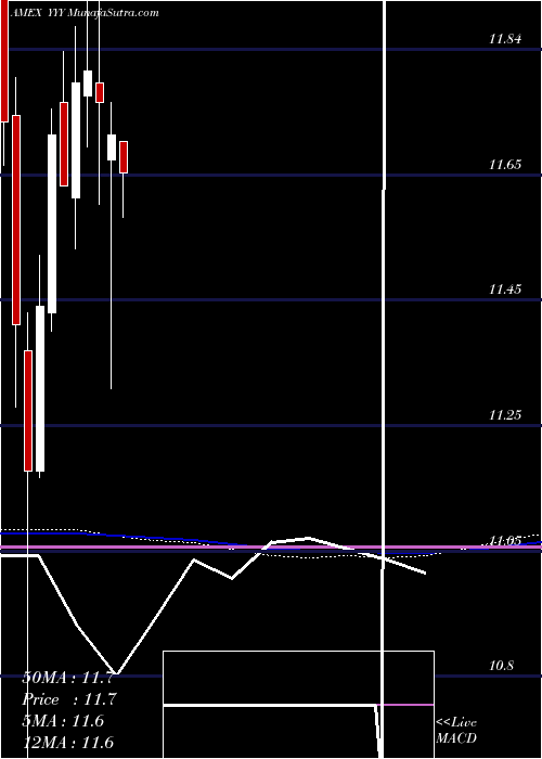  monthly chart YieldsharesHigh