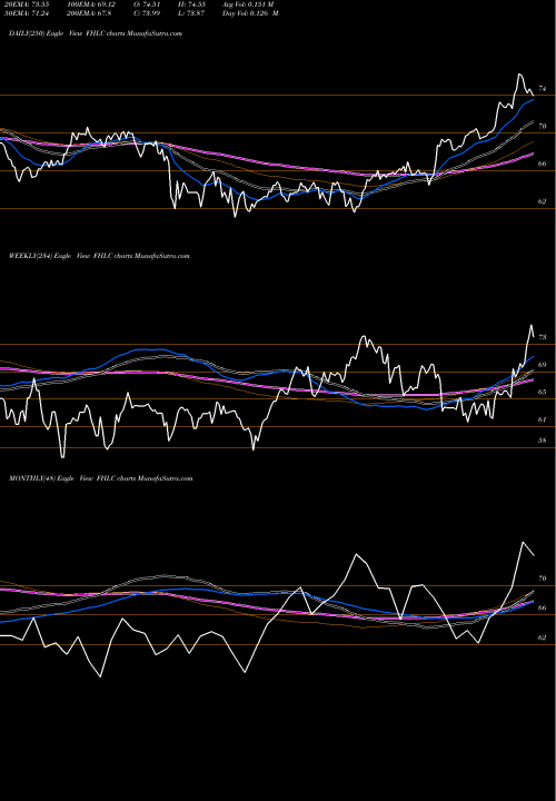 Trend of Fidelity Msci FHLC TrendLines Fidelity MSCI Health Care Index FHLC share AMEX Stock Exchange 