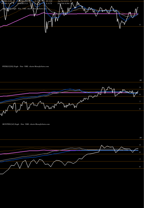 Trend of Neuberger Berman NML TrendLines Neuberger Berman MLP Income Fun NML share AMEX Stock Exchange 