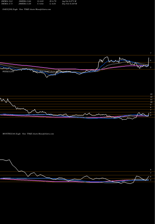 Trend of Cambria Cannabis TOKE TrendLines Cambria Cannabis ETF TOKE share AMEX Stock Exchange 