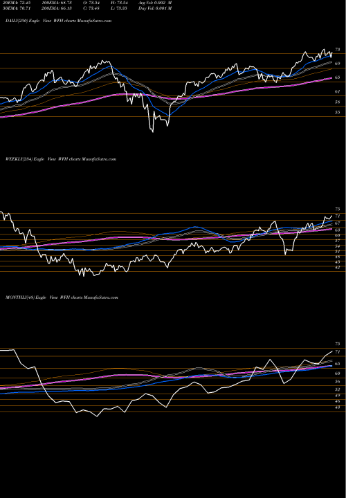 Trend of Work From WFH TrendLines Work From Home ETF Direxion WFH share AMEX Stock Exchange 