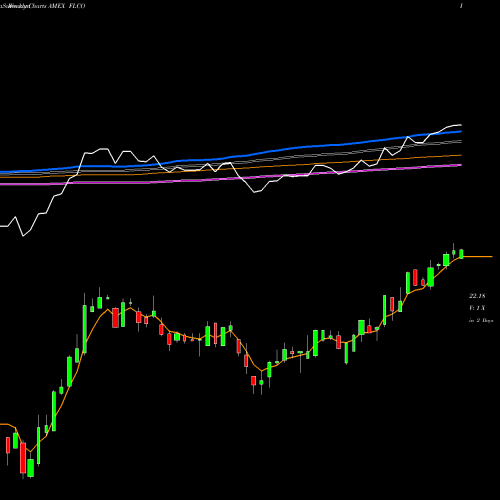 Weekly charts share FLCO Liberty Investment Grade Corp ETF AMEX Stock exchange 