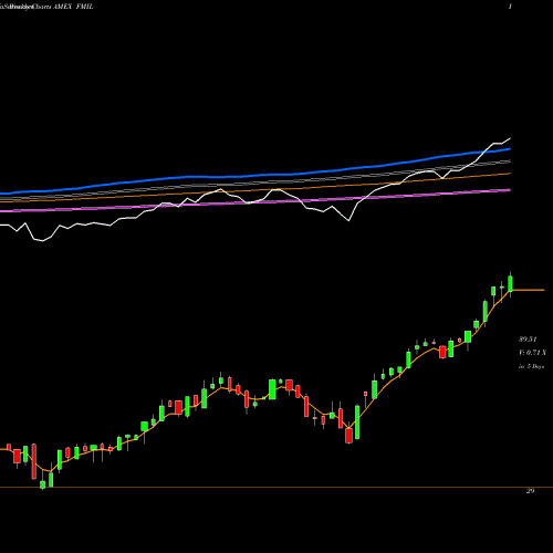 Weekly charts share FMIL Fidelity New Millennium ETF AMEX Stock exchange 
