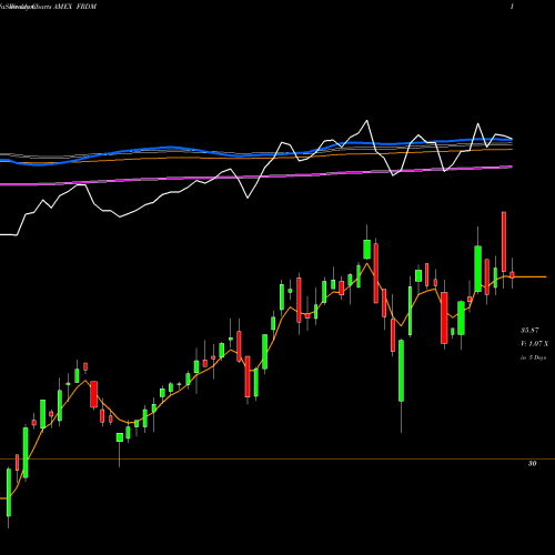 Weekly charts share FRDM Freedom 100 Emerging Markets ETF AMEX Stock exchange 