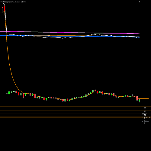 Weekly charts share GUSH Direxion Daily S&P Oil & Gas Ex AMEX Stock exchange 