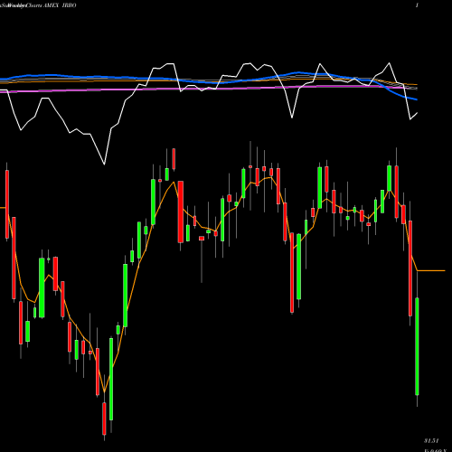 Weekly charts share IRBO Ishares Robotics And Artificial Intelligence ETF AMEX Stock exchange 