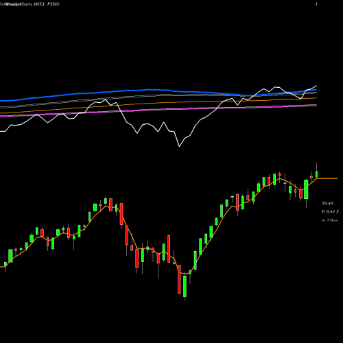 Weekly charts share PXMG Fundamental Pure Mid Growth Powershares AMEX Stock exchange 