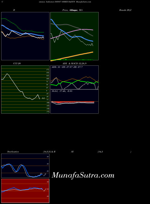 Shree Rajsyn indicators chart 