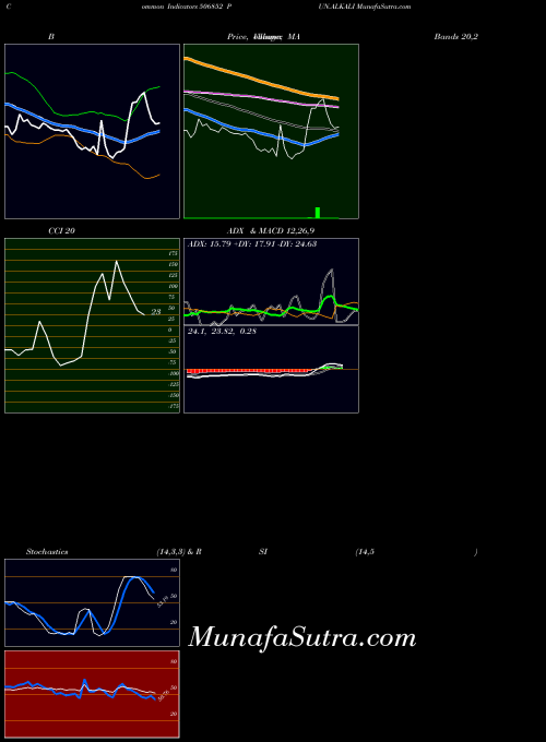 Pun Alkali indicators chart 