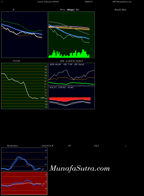 Berge Paint indicators chart 