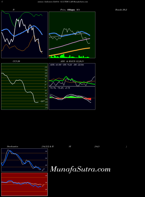 Guj Terc indicators chart 