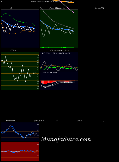 S S indicators chart 