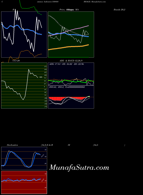 Bhagil indicators chart 