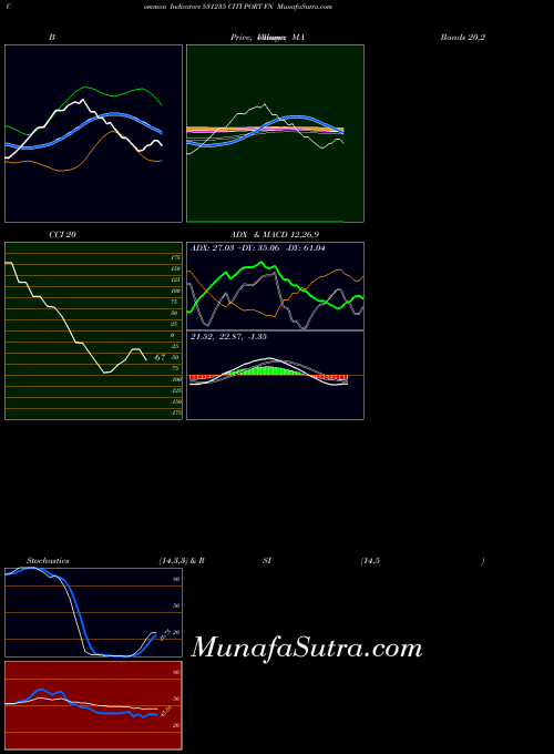 Citi Port indicators chart 