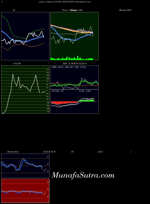 Rajesh Expo indicators chart 
