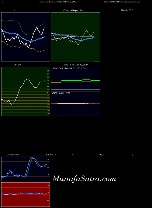 Shivamshree Businesses indicators chart 