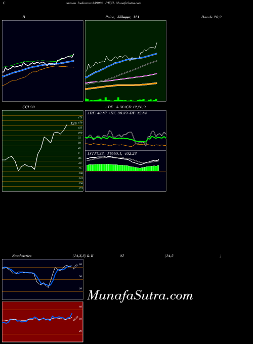 Ptcil indicators chart 