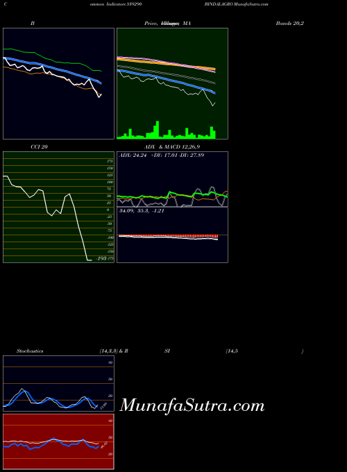 Bindalagro indicators chart 