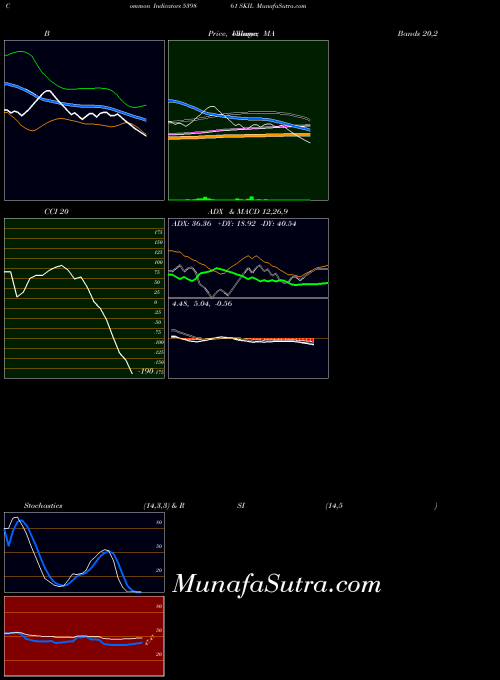 Skil indicators chart 