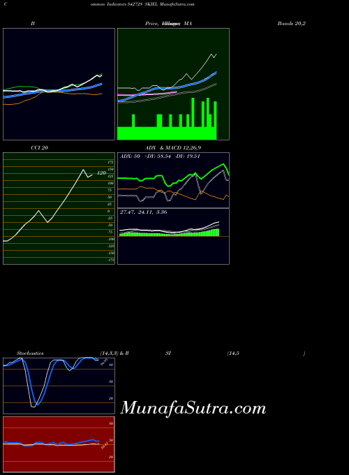 Skiel indicators chart 