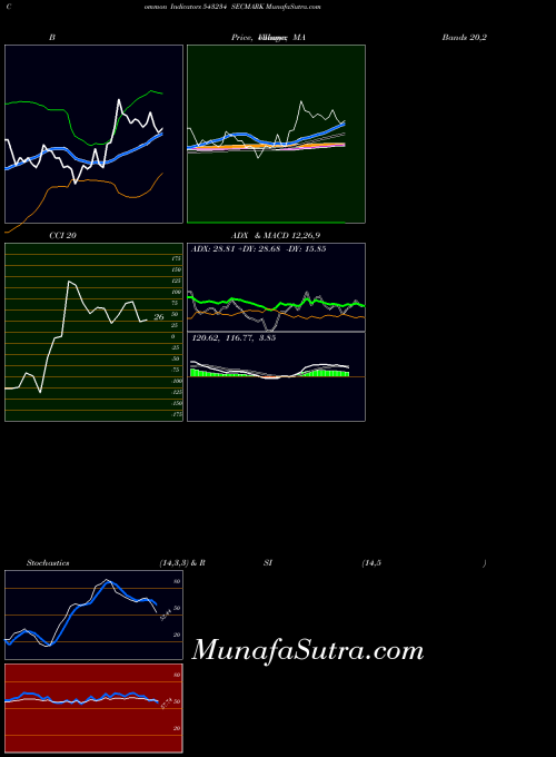 Secmark indicators chart 