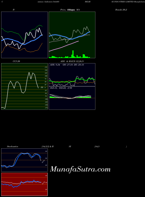 Belrise Industries indicators chart 