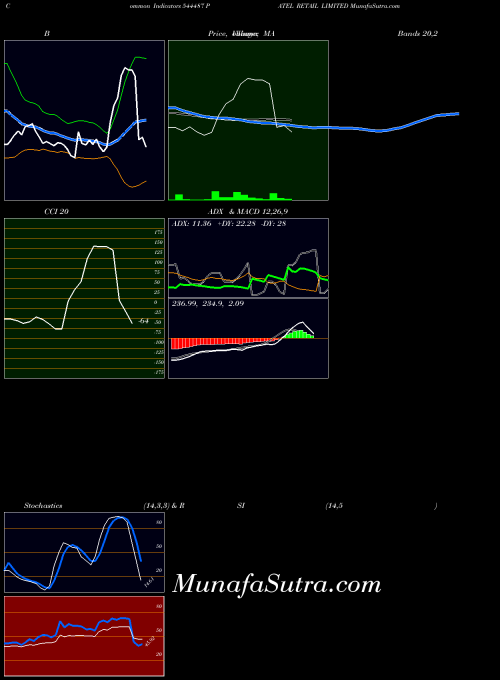 Patel Retail indicators chart 