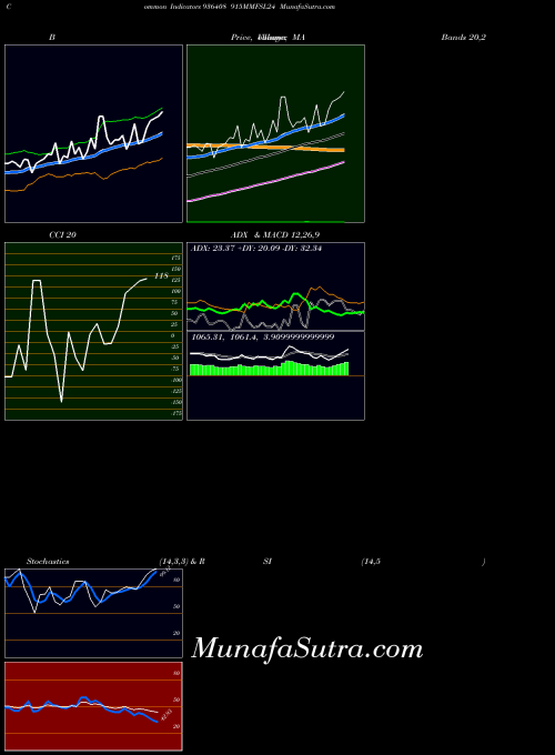 915mmfsl24 indicators chart 