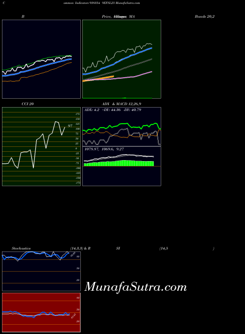 9efsl25 indicators chart 