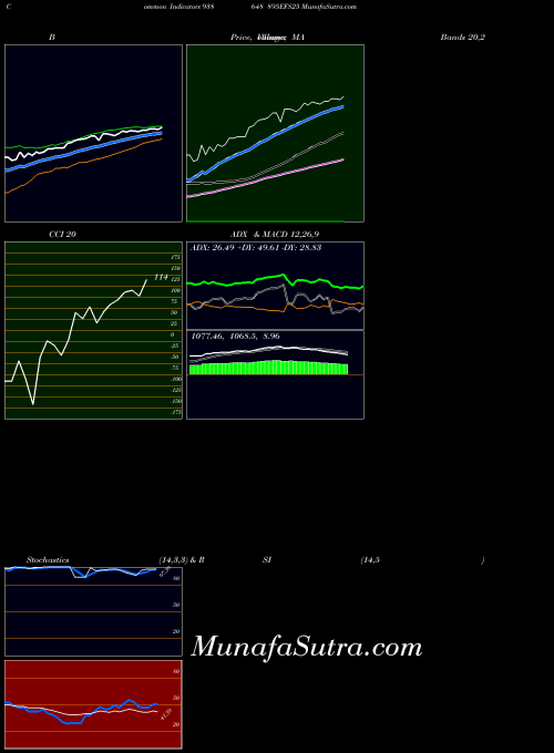 895efs25 indicators chart 