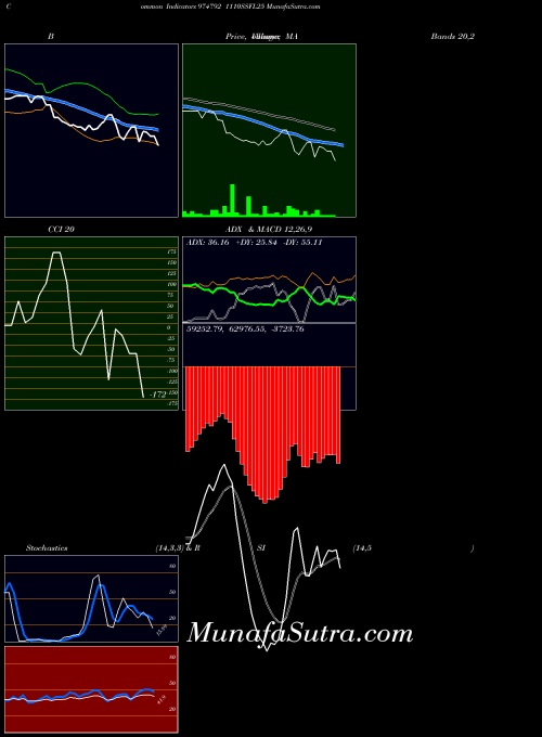 1110ssfl25 indicators chart 