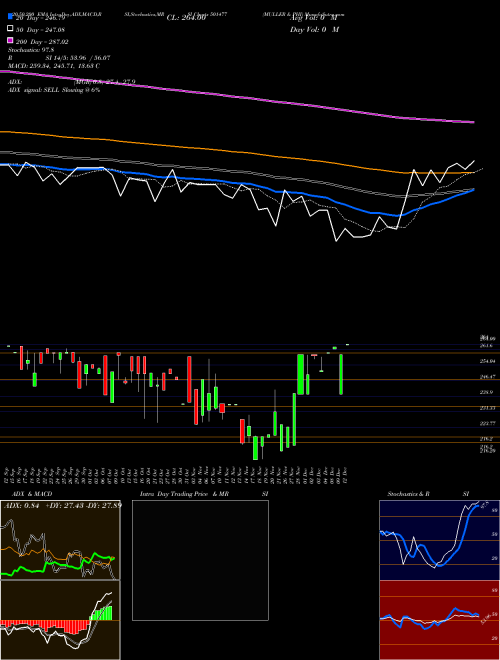 MULLER & PHI 501477 Support Resistance charts MULLER & PHI 501477 BSE