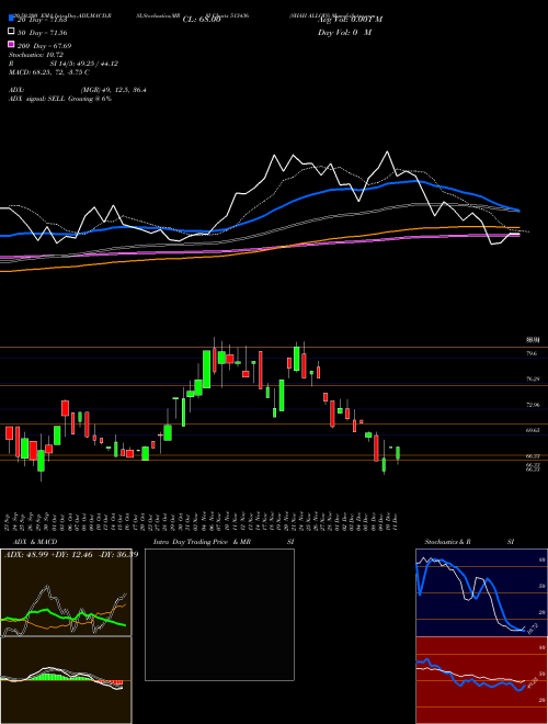 SHAH ALLOYS 513436 Support Resistance charts SHAH ALLOYS 513436 BSE