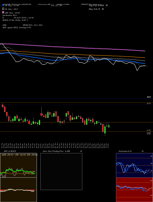 TRIDENT 521064 Support Resistance charts TRIDENT 521064 BSE