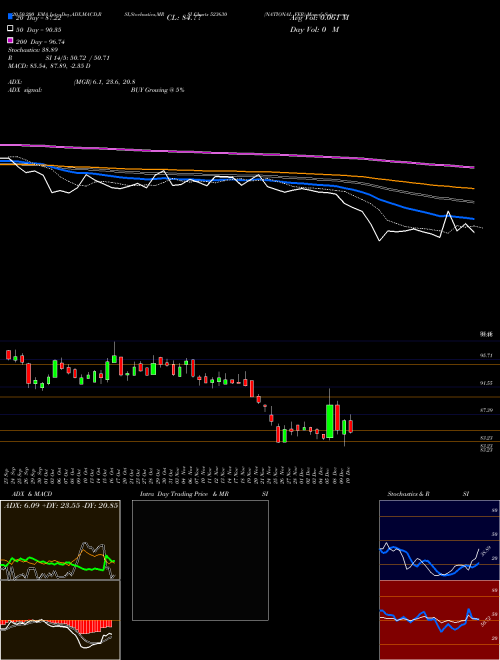 NATIONAL FER 523630 Support Resistance charts NATIONAL FER 523630 BSE