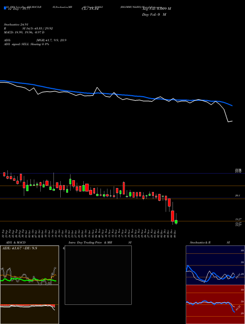 Chart Bh Immun (524663)  Technical (Analysis) Reports Bh Immun [