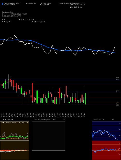 Chart Royal Cushio (526193)  Technical (Analysis) Reports Royal Cushio [