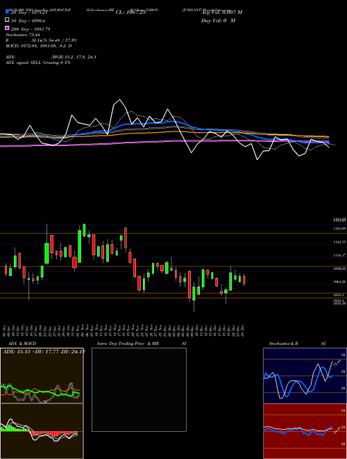 JUBILANT 530019 Support Resistance charts JUBILANT 530019 BSE