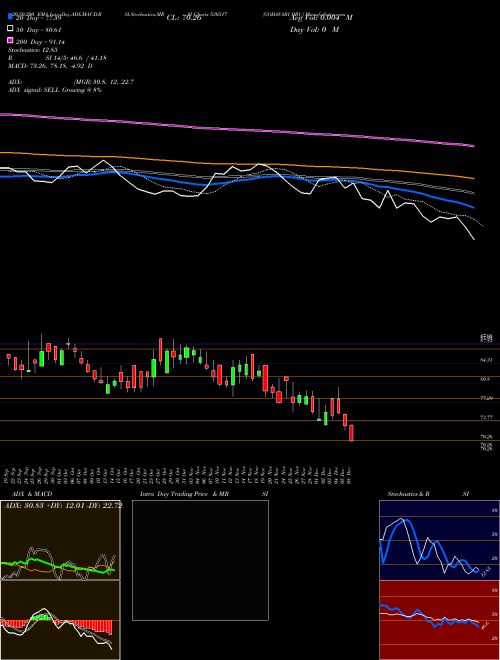 GODAVARI DRU 530317 Support Resistance charts GODAVARI DRU 530317 BSE