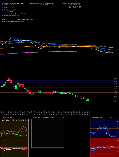 BLUECOAST 531495 Support Resistance charts BLUECOAST 531495 BSE