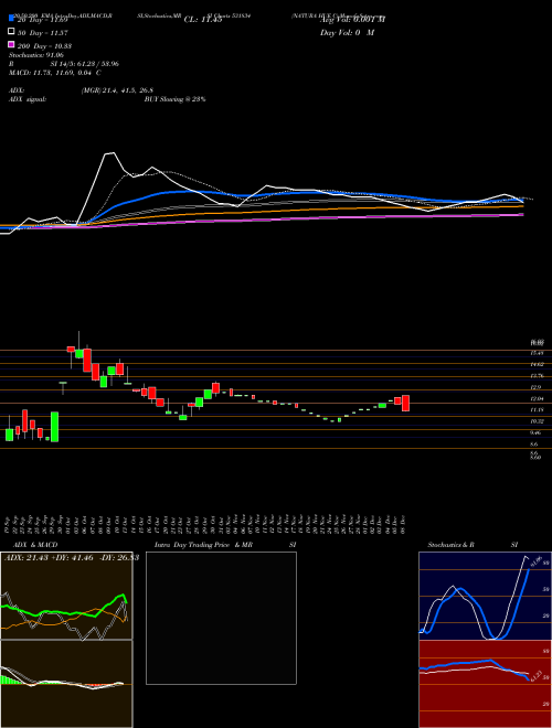 NATURA HUE C 531834 Support Resistance charts NATURA HUE C 531834 BSE