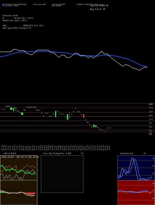 Chart Golden Carpe (531928)  Technical (Analysis) Reports Golden Carpe [