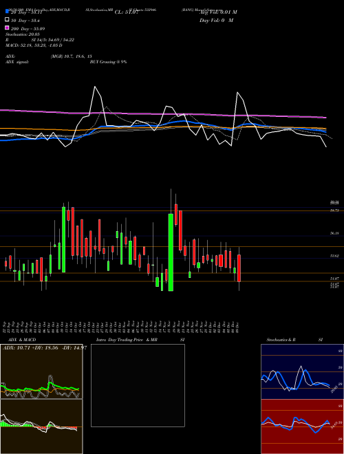 BANG 532946 Support Resistance charts BANG 532946 BSE