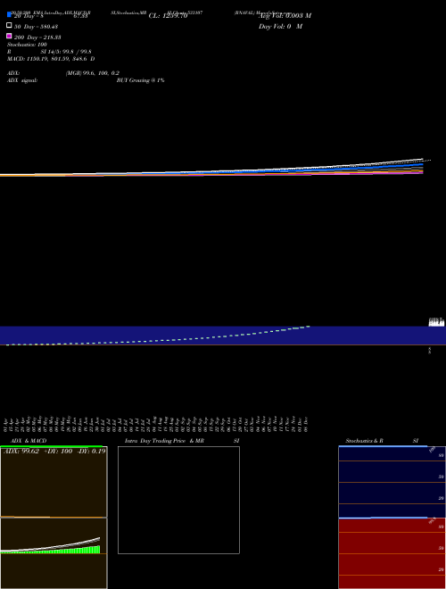 RNAVAL 533107 Support Resistance charts RNAVAL 533107 BSE