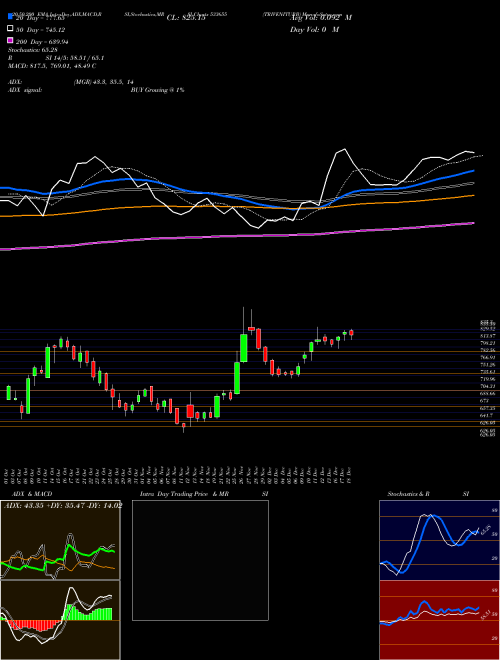 TRIVENITURB 533655 Support Resistance charts TRIVENITURB 533655 BSE