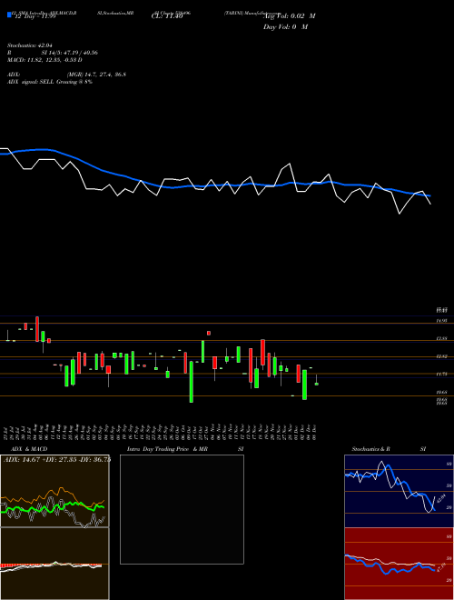 Chart Tarini (538496)  Technical (Analysis) Reports Tarini [