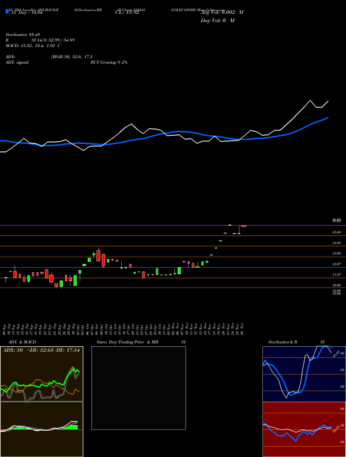 Chart Goldcoinhf (538542)  Technical (Analysis) Reports Goldcoinhf [