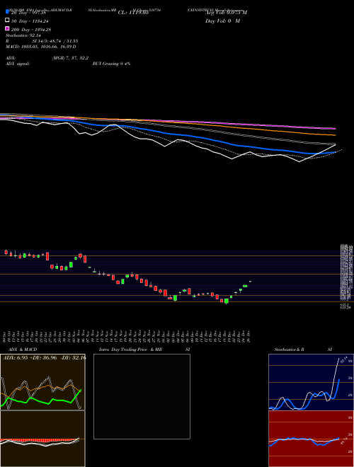 CEINSYSTECH 538734 Support Resistance charts CEINSYSTECH 538734 BSE