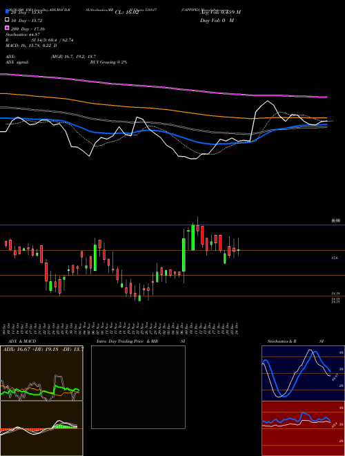 CAPPIPES 538817 Support Resistance charts CAPPIPES 538817 BSE